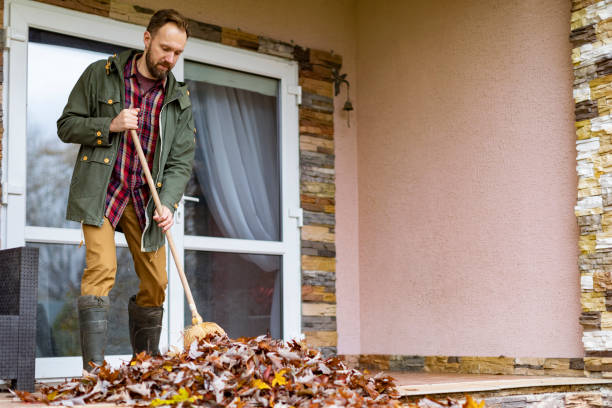 Best Dumpster Rental Services  in Apalachin, NY